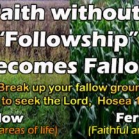 Faith without “Followship” becomes Fallow