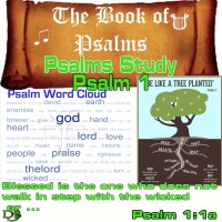 The Book of Psalms Study – Psalm 1