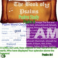 The Book of Psalms Study – Psalm 8