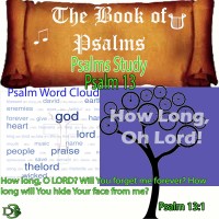 The Book of Psalms Study – Psalm 13