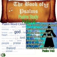 The Book of Psalms Study – Psalm 14