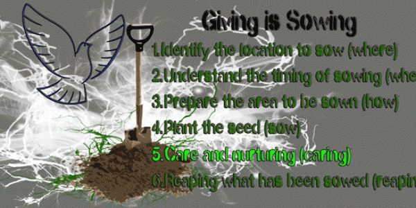 Sow the seed, Care for the Seed, Tithe, offering
