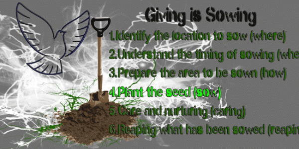 4. Plant the seed (Sow)