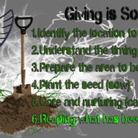 Giving is Sowing – Part 5 – Care and Nurturing