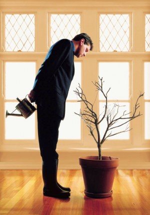 GIS - Man looking at dead plant