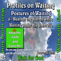 Profiles on Waiting – Posture – Weather the Storms while Waiting under His Umbrella