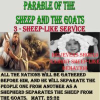 Parable of the Sheep and Goats – 3 – Sheep-like Service